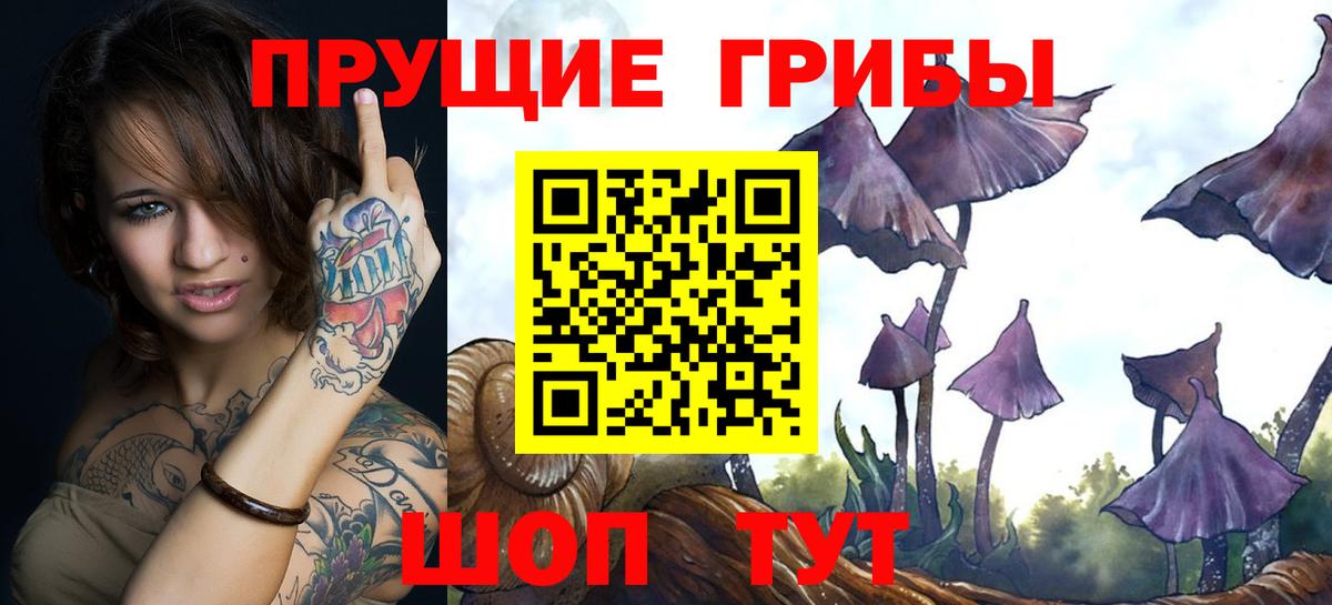 Вязьма  Псилоцибиновые грибы мухоморы  Вход с VPN 